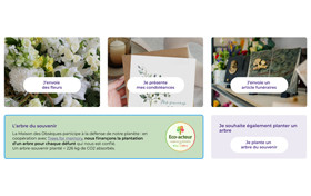 avis-obsèques-arbre